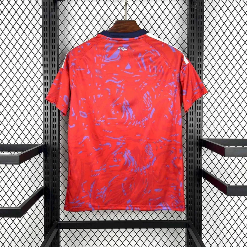 Costa Rica 2026 World Cup Home Jersey - 图片 2